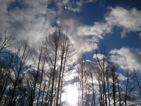 some of that beautiful sky